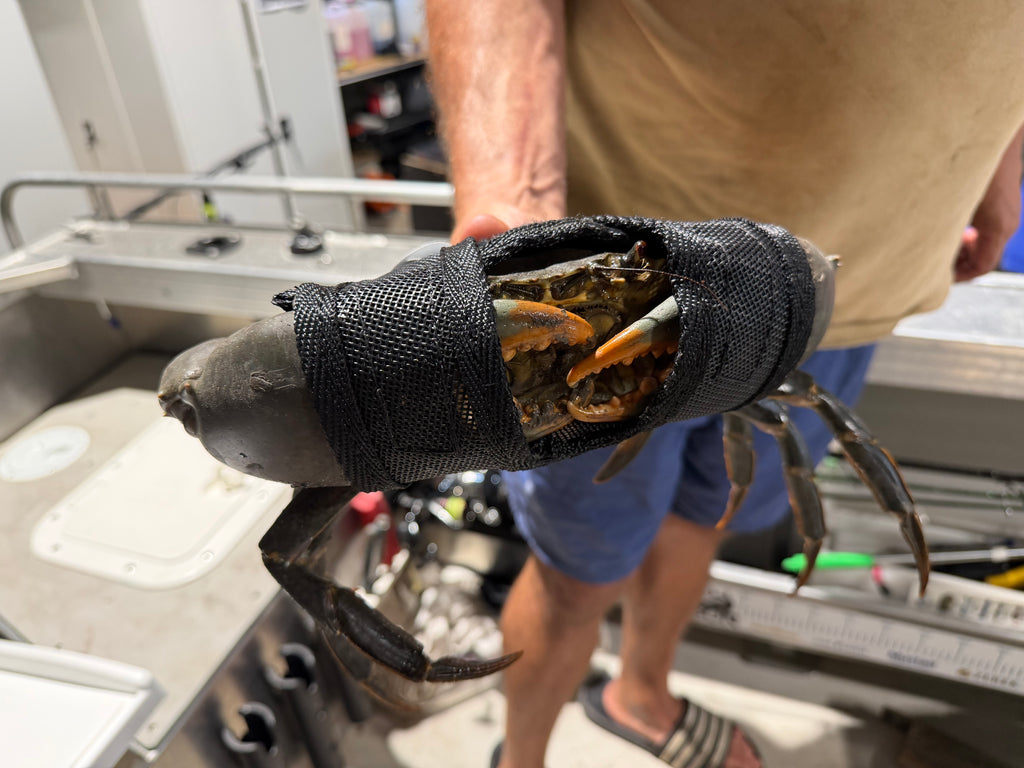 Crab Flap 5 Pack with bag